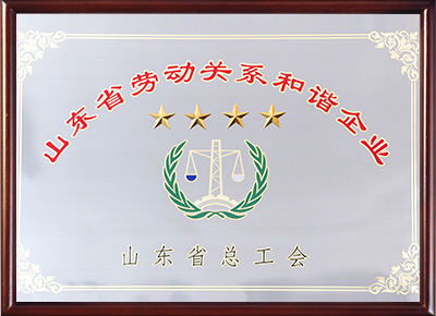 山東省勞動關系和諧企業(yè)